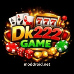 DK222 Game