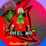 Sohel Rank
