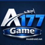 A177 Game