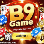 B9 Game