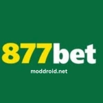 877Bet Game