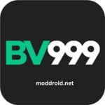 BV999 Game