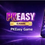 Pkeasy Game